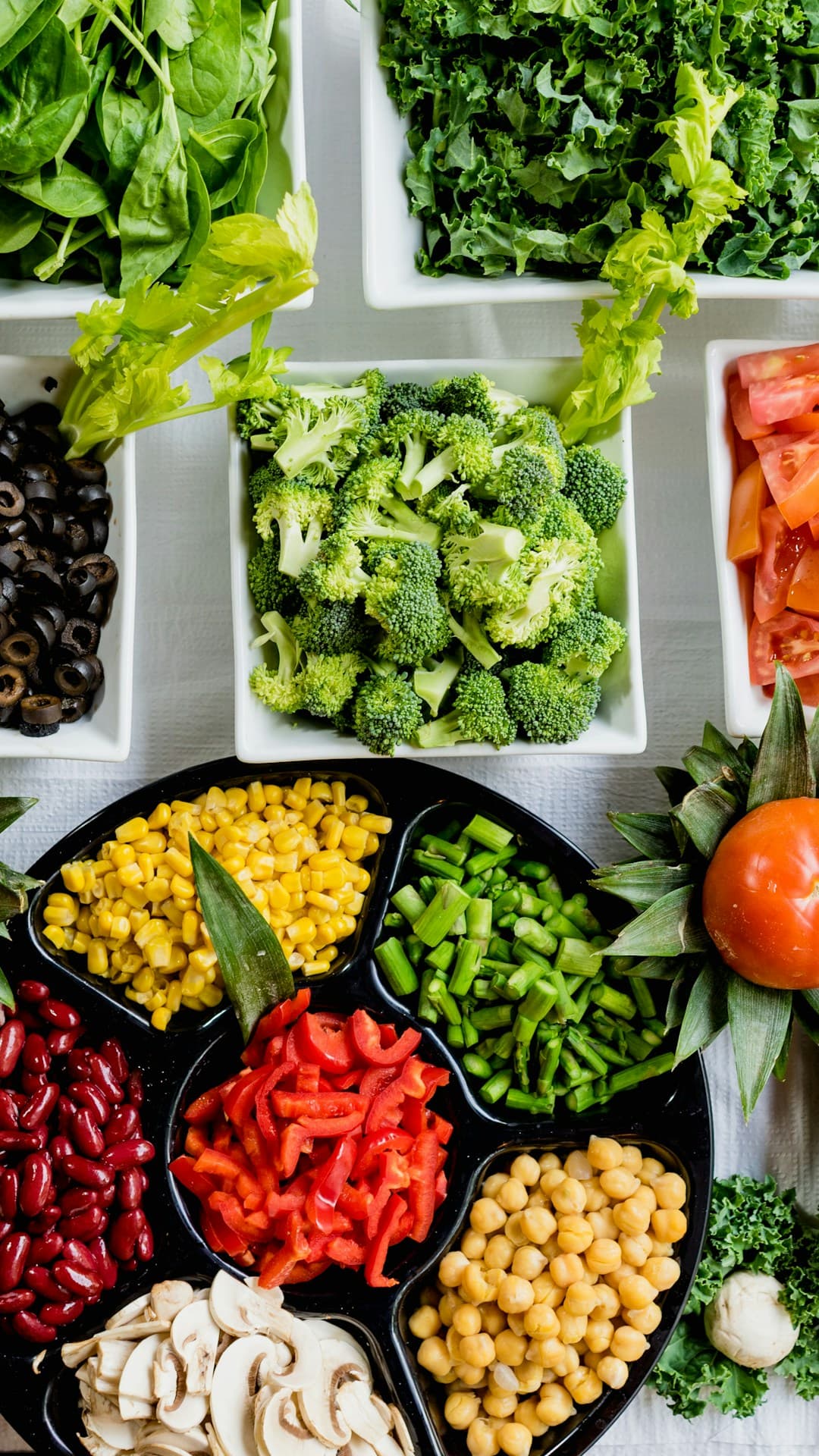 Nutrición y Dietética